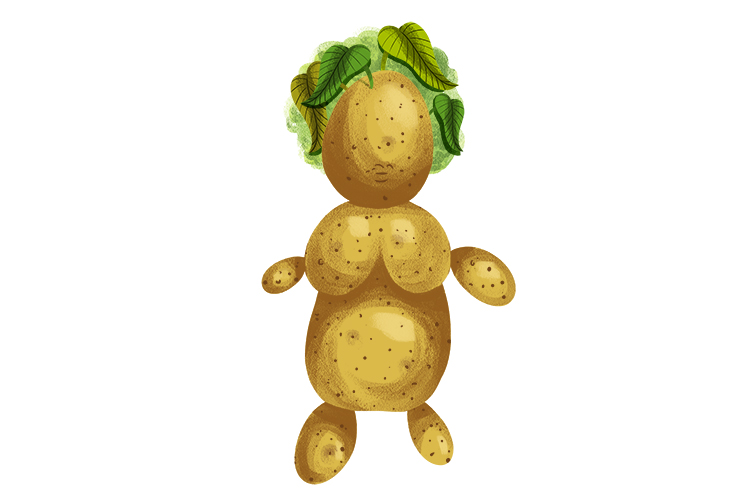 Patata is feminine, so it's la patata. Imagine a potato that looks like a lady: