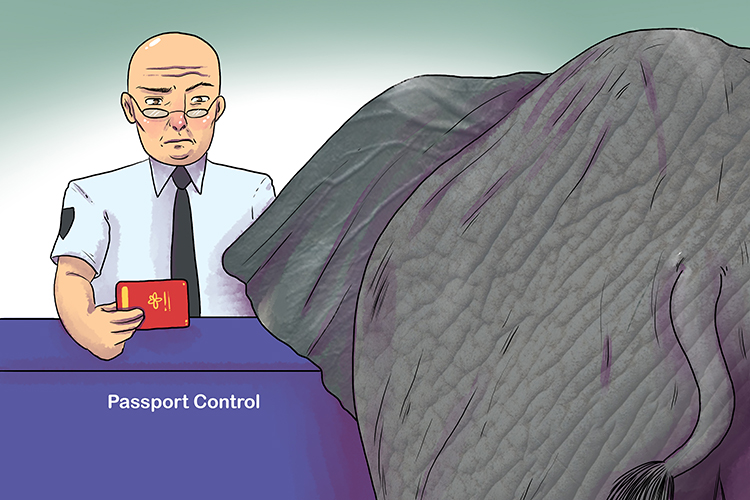 Pasaporte is masculine, so it's el pasaporte. Imagine an elephant trying to get through passport control