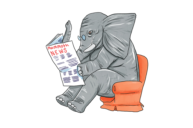 Periódico is masculine, so it's el periódico. Imagine an elephant reading a newspaper: