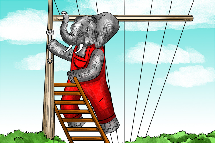 Poder is masculine, so it's el poder. Imagine an elephant that works on power lines.