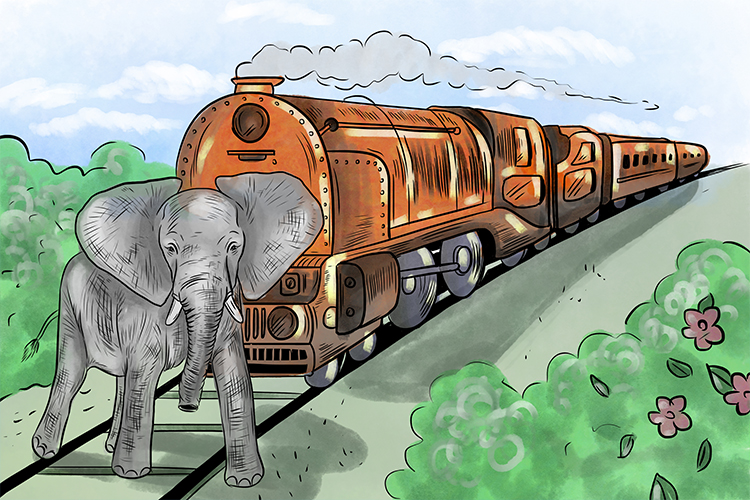 Tren is masculine, so it’s el tren. Imagine an elephant crossing a railway line just as a train comes