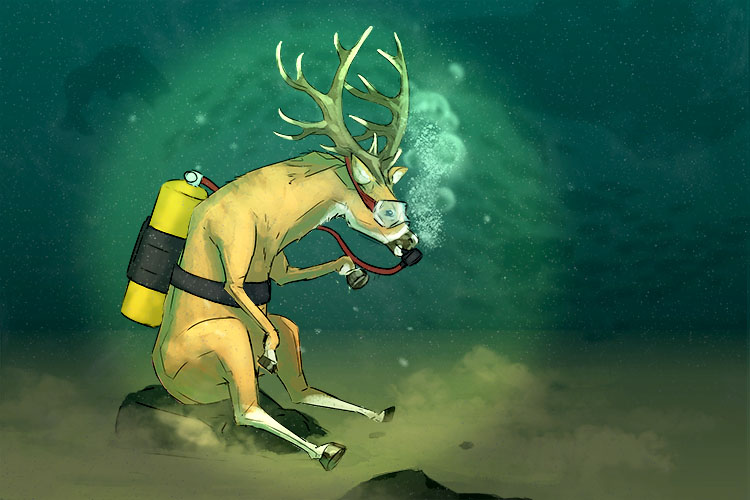 If you decide to go to the ocean's depths, you may see a deer (decidir)
