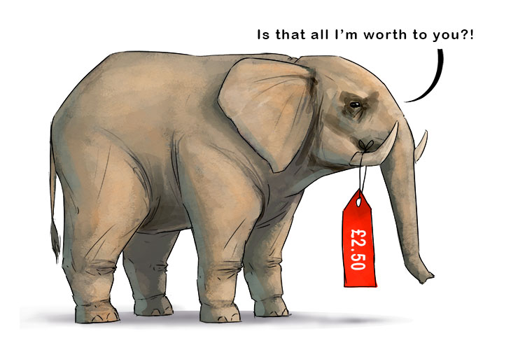 Precio is masculine, so it's el precio. Imagine an elephant with a price tag