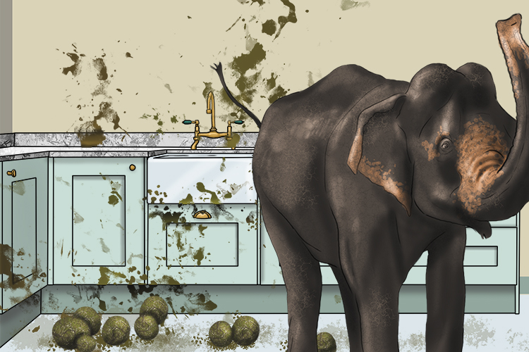 Suelo is masculine, so it's el suelo. Imagine an elephant leaving a mess on the kitchen floor.