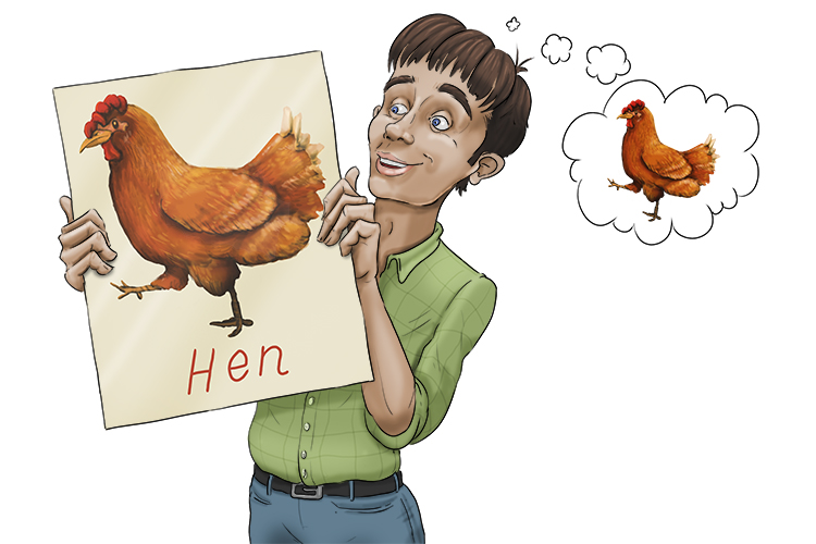 Picture or imagine a hen (imagen).