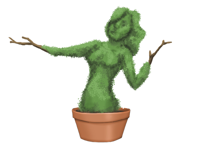 Planta is feminine, so it's la planta. Imagine a lady-shaped plant.
