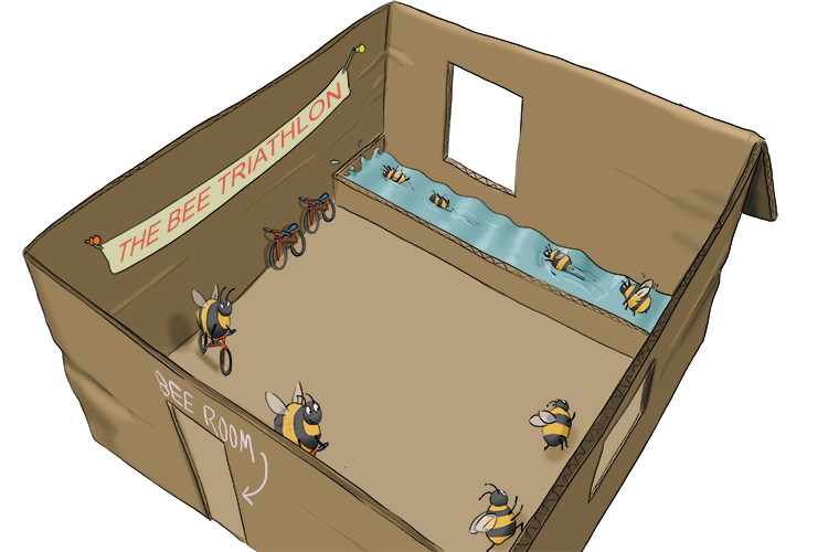 In the tiny room, there was a bee triathlon (habitación) taking place.