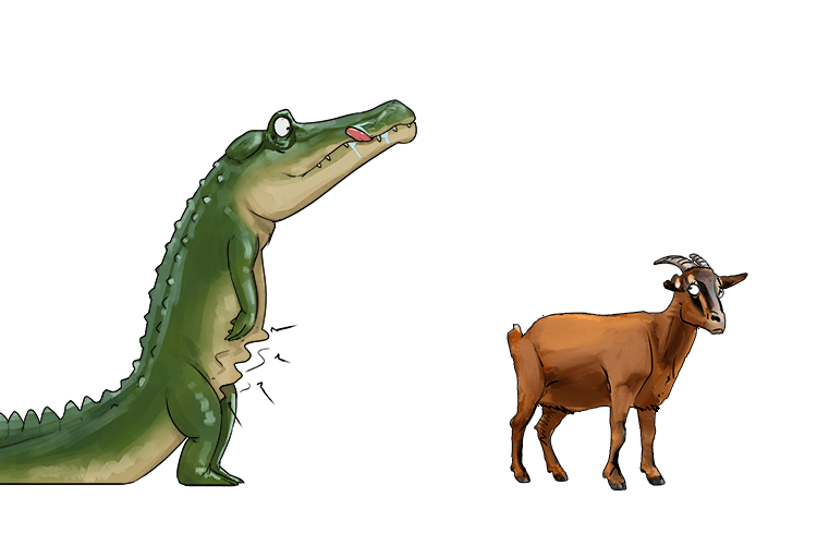 He needed something to eat, so the alligator was looking at the goat (algo)
