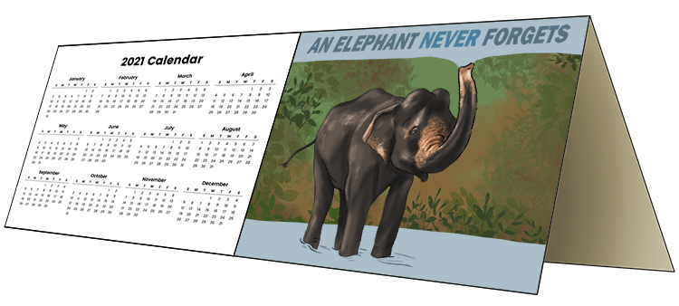 Año is masculine, so it's el año. Imagine an "elephant never forgets" calendar for the year.