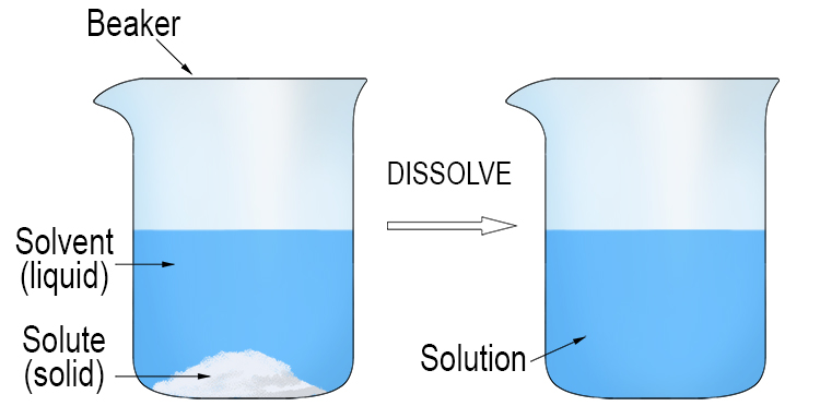 Dissolved means that a solid substance has been incorporated or absorbed into a liquid and become a solution.