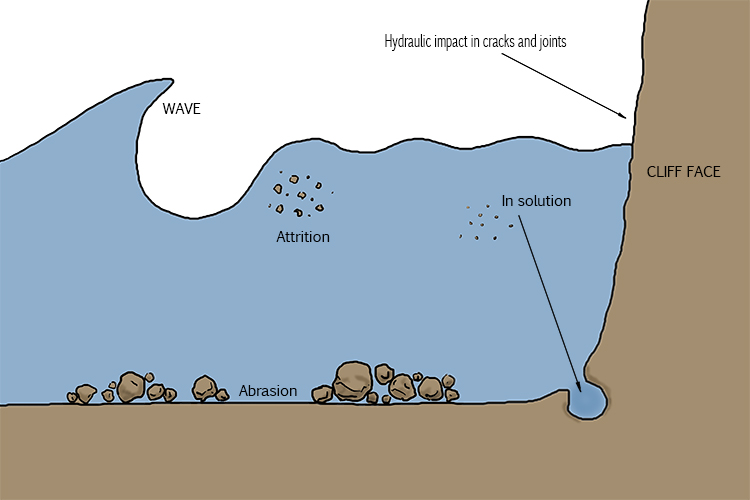 Abrasion Wound Diagram