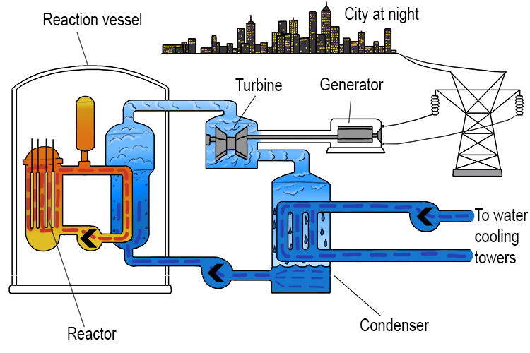 Steam is produced from the nuclear reactor, which turns a turbine, which then generates electricity.