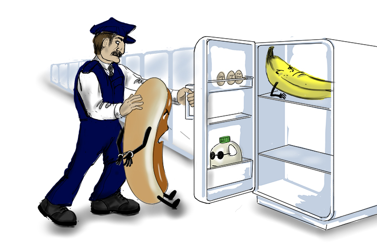 I made sure my food was secure and it was sufficient to eat