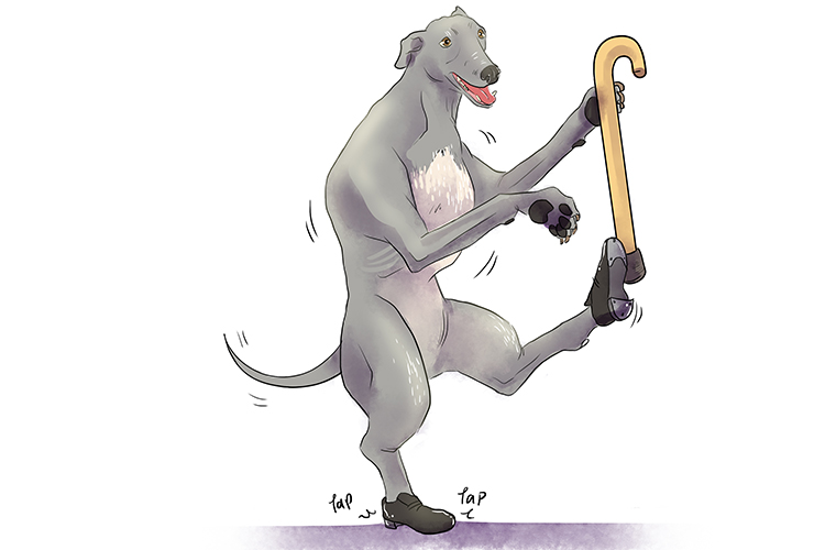 The greyhound loved tap dancing (grey is associated with taps).