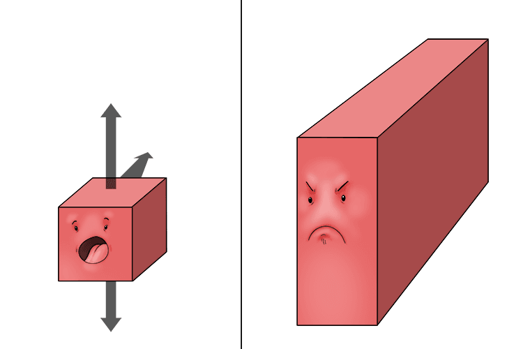 The cube was annoyed (cuboid) after being stretched. Now all its sides are rectangles.
