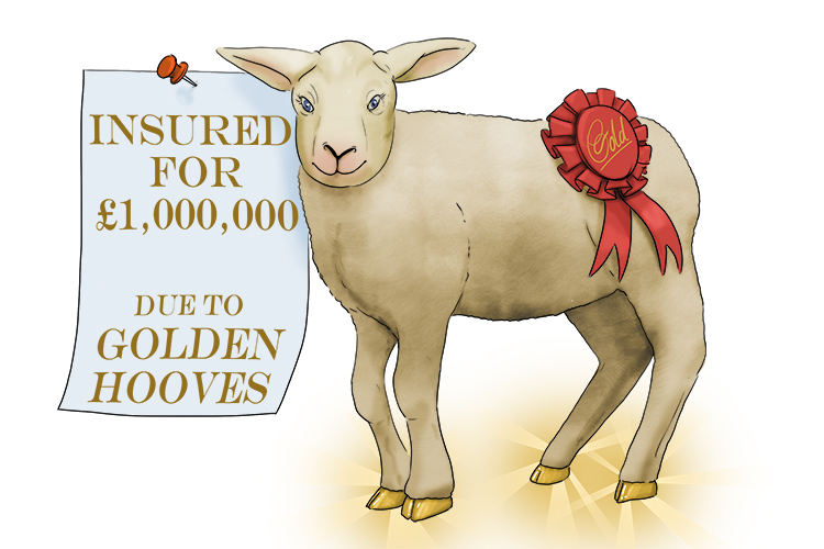 To insure this lamb would cost one million pounds because it has golden hooves.