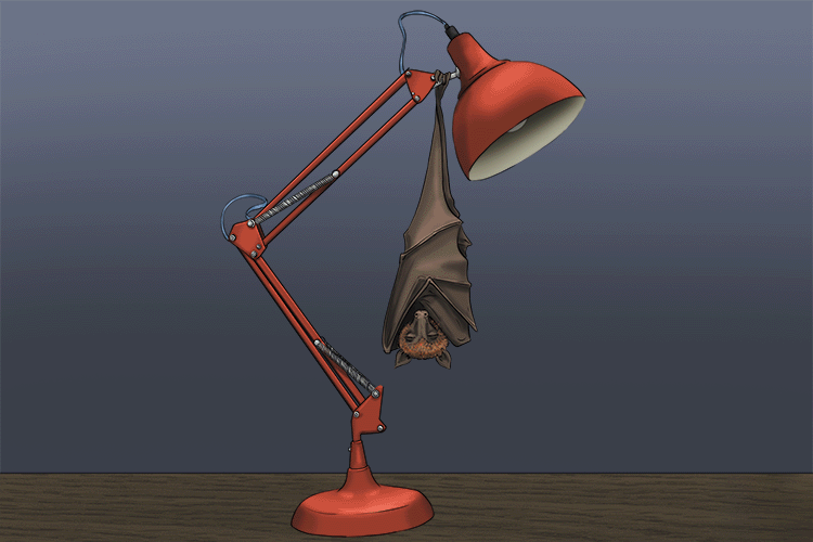 Imagine a bat hanging from a desk lamp but not being able to sleep because the desk lamp keeps flashing.