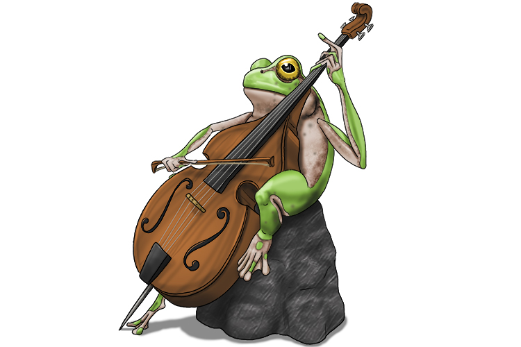 Think of the double bass (bass clef) being played by a frog (F clef).