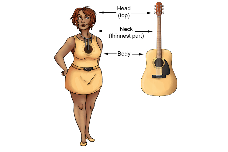 The head, neck and body of a guitar are easy to remember, because they are so similar to a human being. 