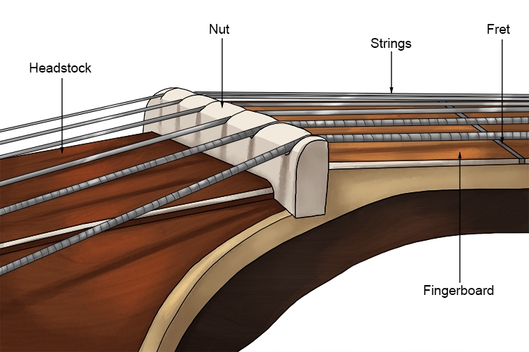 The nut is placed at the end of the fingerboard and controls the string spacing across the neck and the proper height from the fingerboard