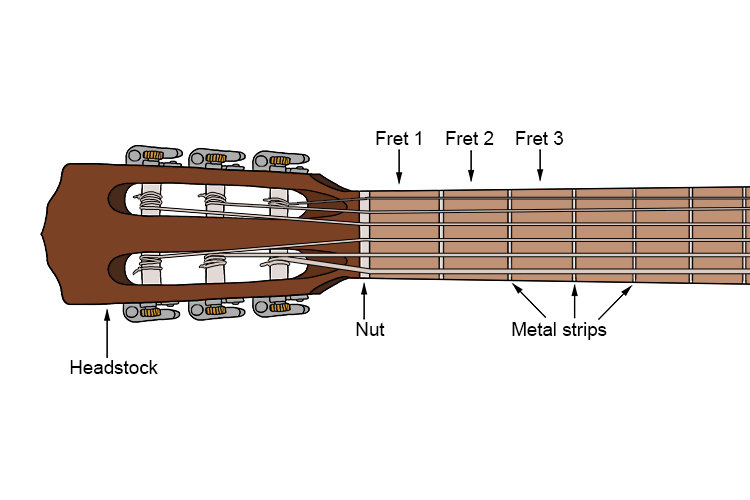 The fret is the fingerboard.