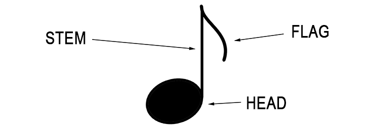 Musical notes are made up of up to three specific components – a stem, head and flag.