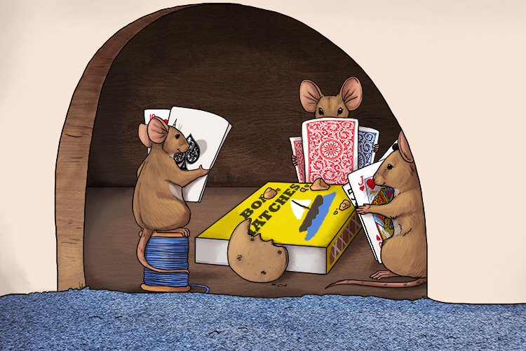Their Thursday night poker (poco) game was a little treat after a hard week's scavenging.
