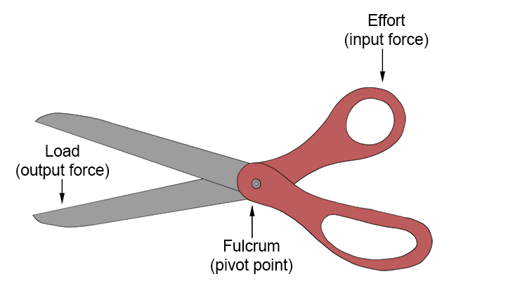 Example 2: Scissors is lever 1