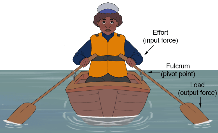 Example 4: Rowing a boat is lever 1