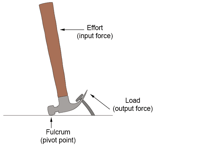 Example 5: Hammer used as a lever is lever 1