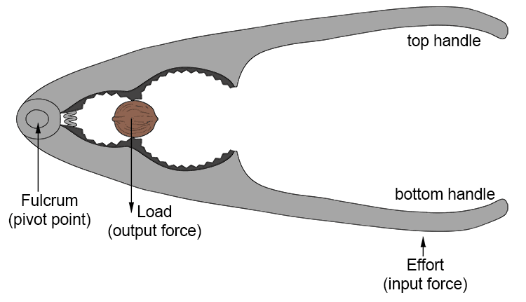 Example 2: Nutcracker is lever 2