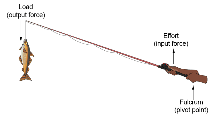 Example 3: Fishing rod is lever 3