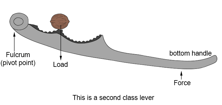 Why? Before the nut touches the top handle you lift the nut upwards by applying a force one end and the other end is a fulcrum (pivot point). A second class lever has the load in the middle (e.g. a wheelbarrow):