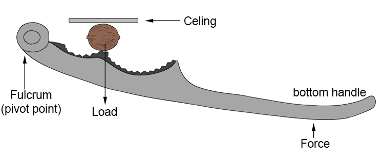 But with a nutcracker you just happen to put a ceiling in the way.