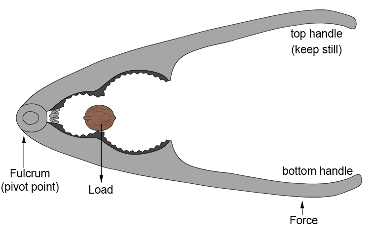 Deciding what lever a nutcracker is a difficult one, but it is definitely a second class lever.
