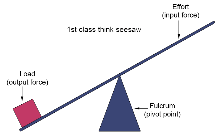 A second class lever has the load in the middle (e.g. a wheelbarrow).