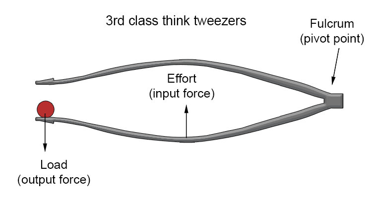 A third class level has the effort in the middle (e.g. tweezers).