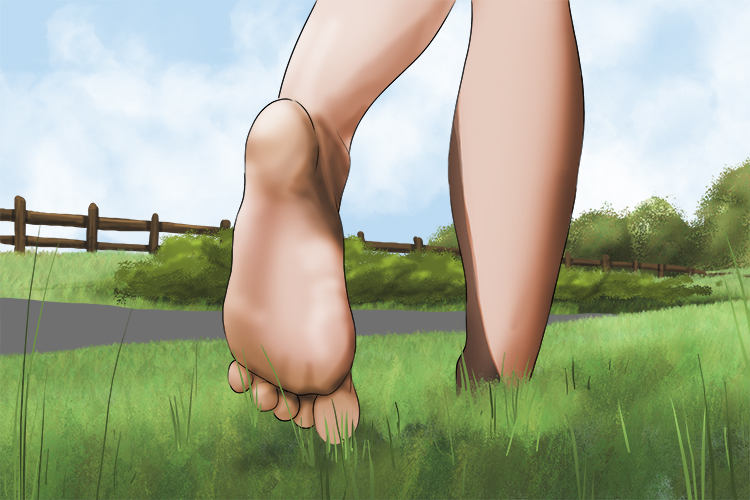 The green grass is nice and cool. I like to walk barefoot on a hot day (verde) to cool my feet down.