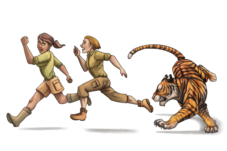 The orange tiger started an attack and they ran harder (anaranjada) than they ever had before.