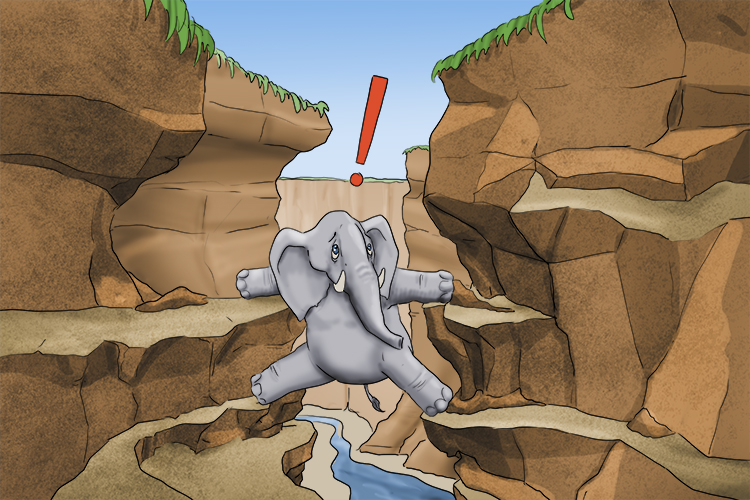 Fondo is masculine, so it's el fondo. Imagine an elephant falling into the bottom of a ravine and getting trapped.