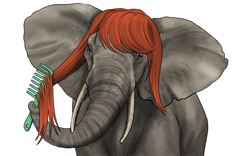 Peine is masculine, so it's el peine. Imagine an elephant using a comb.