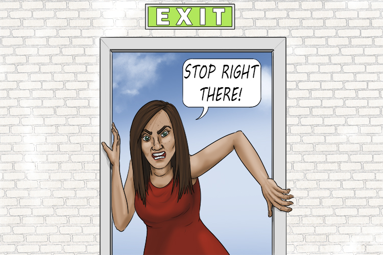 Salida is feminine, so it's el salida. Imagine a lady guarding an exit.