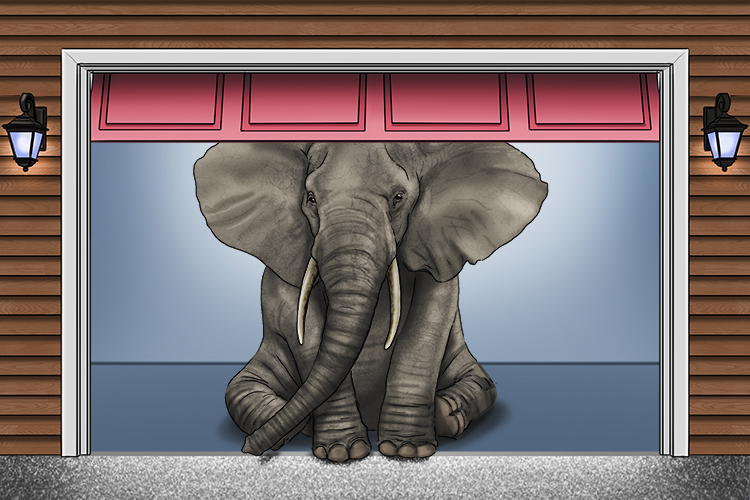 Garaje is masculine, so it's el garaje. Imagine someone keeping an elephant in their garage.