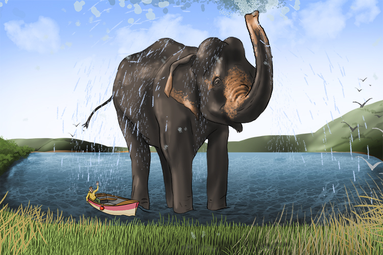 Lago is masculine, so it's el lago. Imagine a giant elephant taking a bath in the lake.