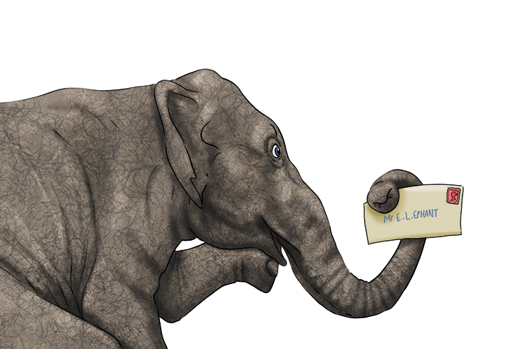 Correo is masculine, so it's el correo. Imagine an elephant receiving mail.