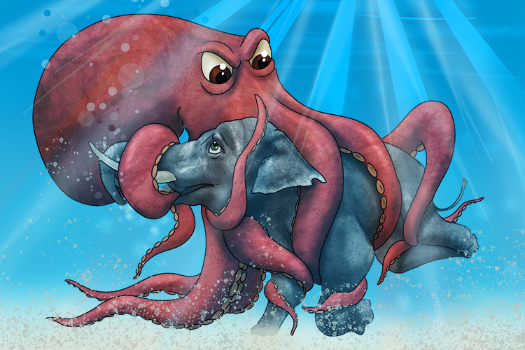 Pulpo is masculine, so it's el pulpo. Imagine an elephant wrestling with a giant octopus.