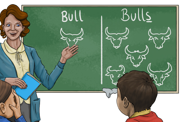 The plural of bull is bulls.