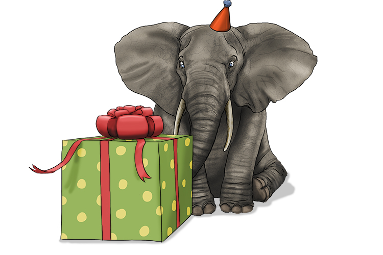 Regalo is masculine, so it's el regalo. Imagine an elephant receiving a beautifully wrapped present.