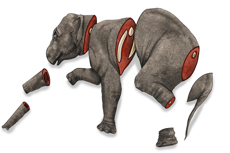 Segmento is masculine, so it's el segmento. Imagine an elephant cut into segments.