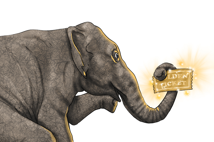 Boleto is masculine, so it's el boleto. Imagine an elephant winning a golden ticket.